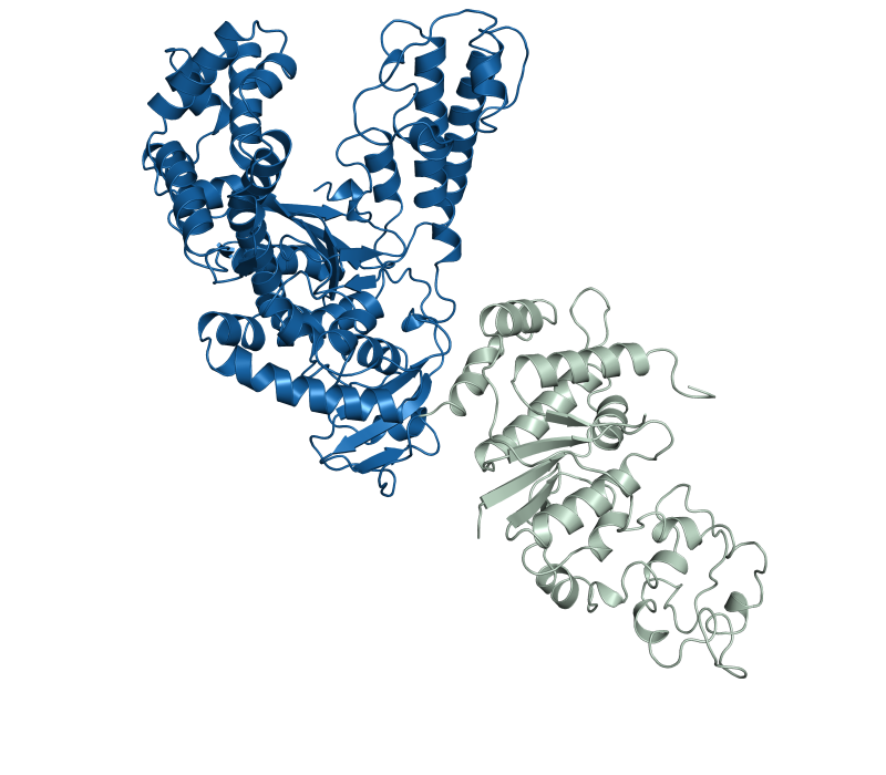 DB AptaTaq DNA Polymerase