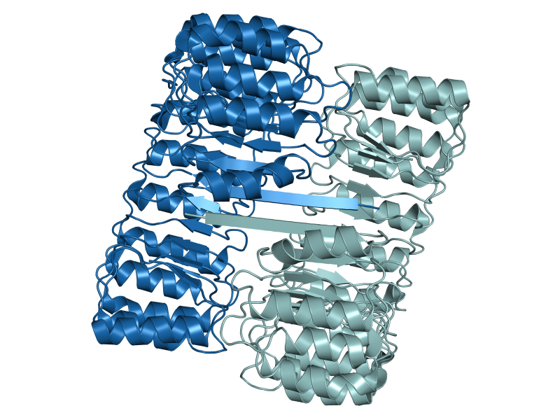 DB-RNase-Inhibitor-Human_structure-1.png