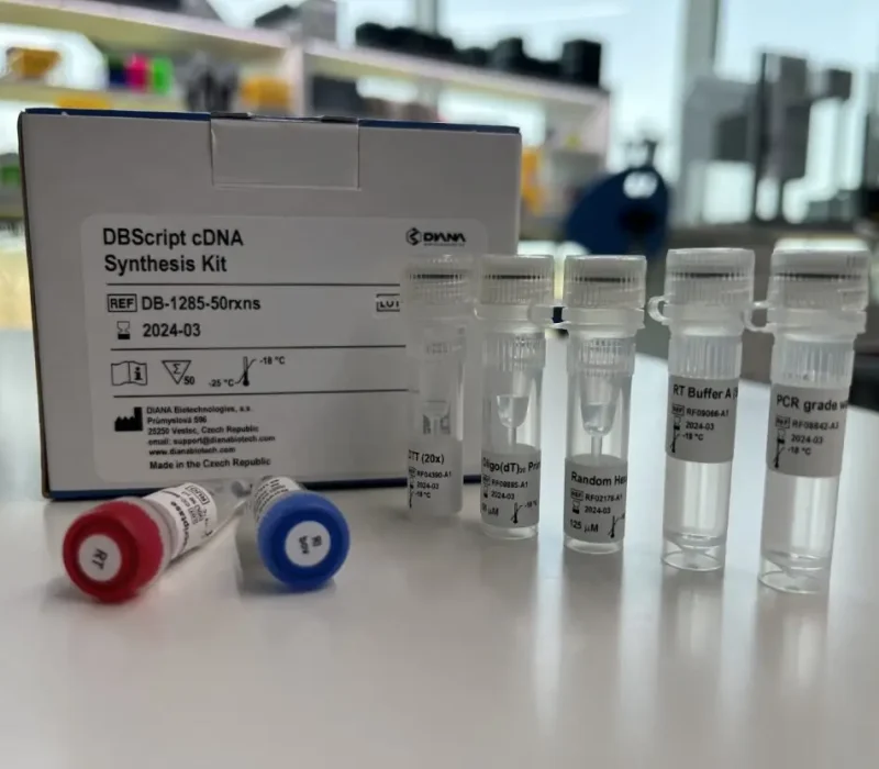 DBscript cDNA Synthesis Kit (DB-1285)_photo